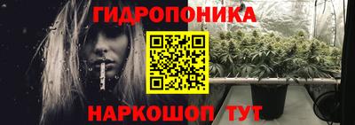 гашик Дубна