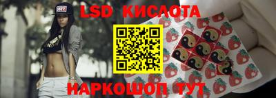 дмт Донской