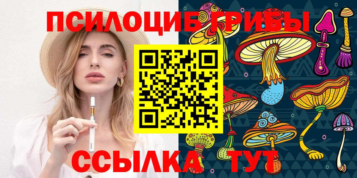 Шелехов  Псилоцибиновые грибы ЛСД  Псилоцибиновые грибы мицелий  Вход с VPN 